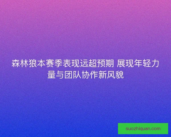 森林狼本赛季表现远超预期 展现年轻力量与团队协作新风貌