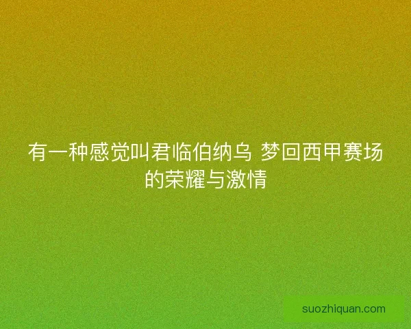 有一种感觉叫君临伯纳乌 梦回西甲赛场的荣耀与激情