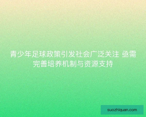 青少年足球政策引发社会广泛关注 亟需完善培养机制与资源支持